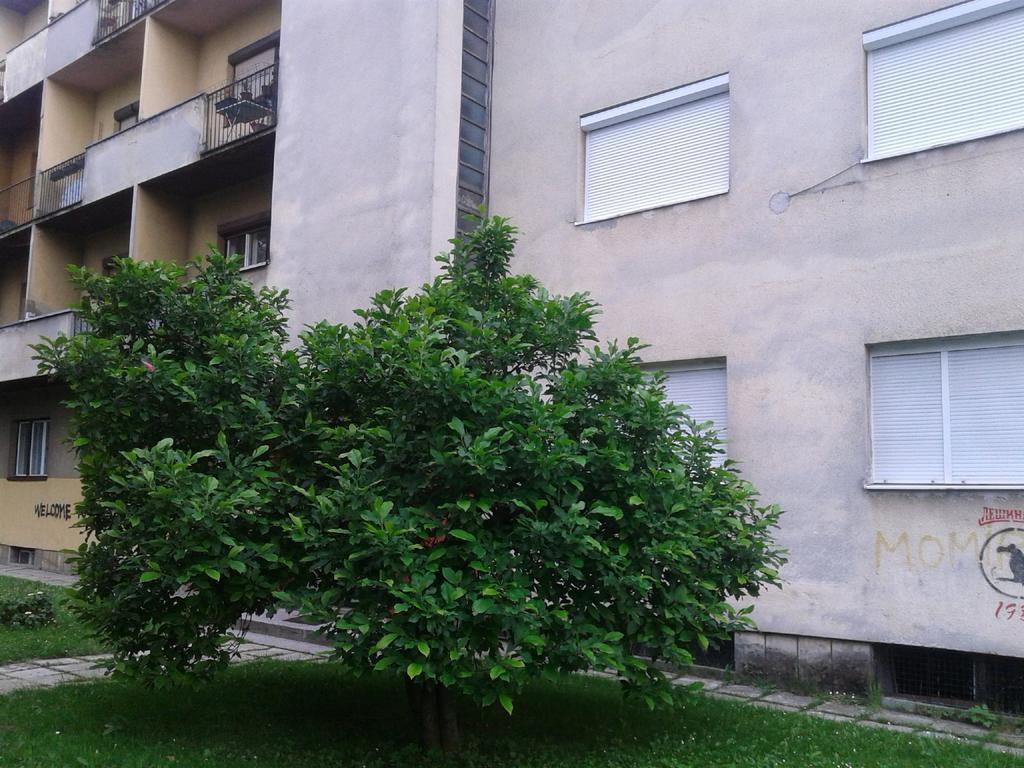 Apartment Ma 2 , 3 Rd Floor Banja Luka Kültér fotó